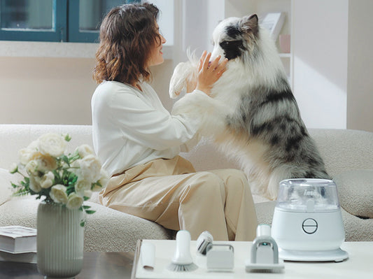 PetVera™ 5-in-1 Pet Grooming Vacuum & Kit
