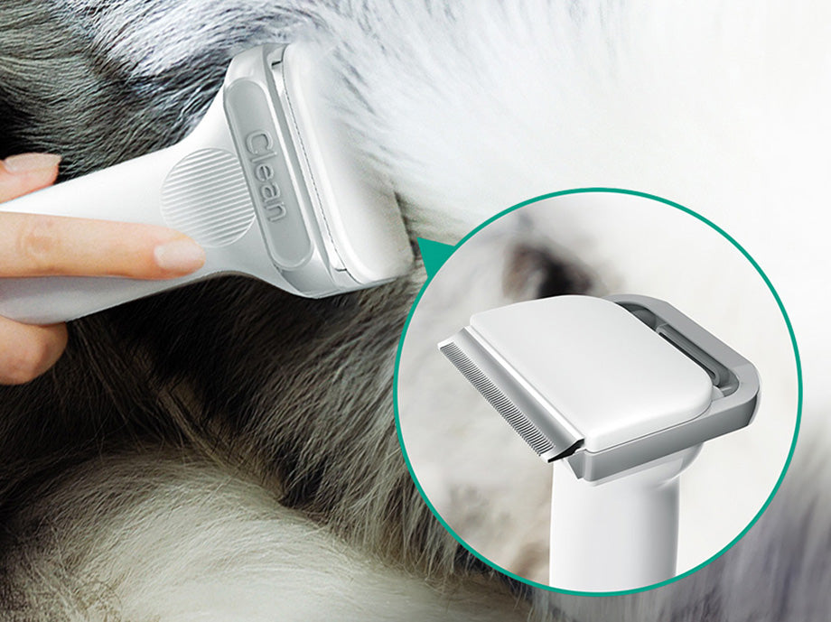 PetVera⢠5-in-1 Pet Grooming Vacuum & Kit