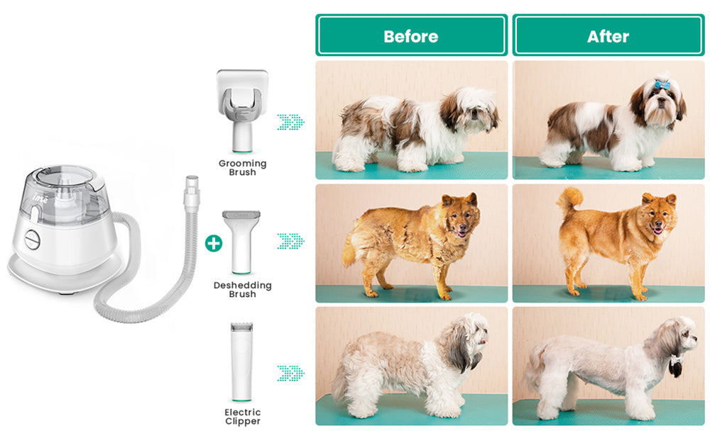 PetVera⢠5-in-1 Pet Grooming Vacuum & Kit