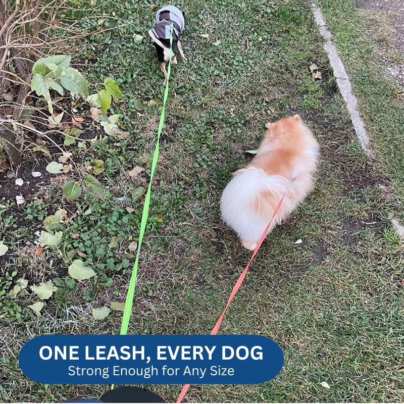 PetVera™ Innovative Dual Dog Leash - Tangle-Free Design with LED Light & 360° Swivel Feature